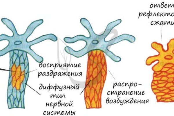 Kraken13 at сайт