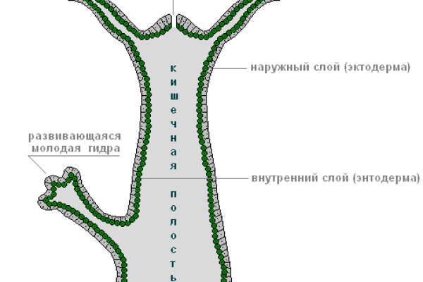 Кракен сайт 1kraken me официальный