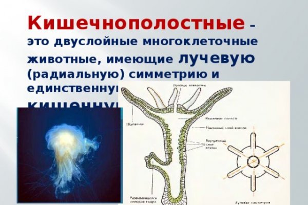 Как пополнить кошелек на кракене