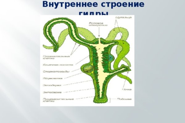 Гидра кракен