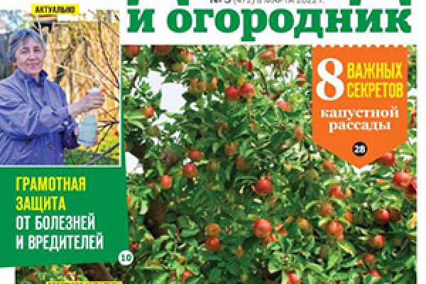 Кракен нар
