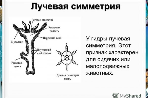 Кракен зеркало сегодня