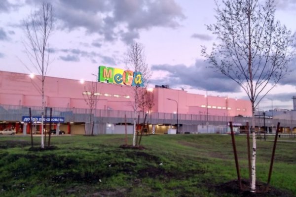 Кракен 17